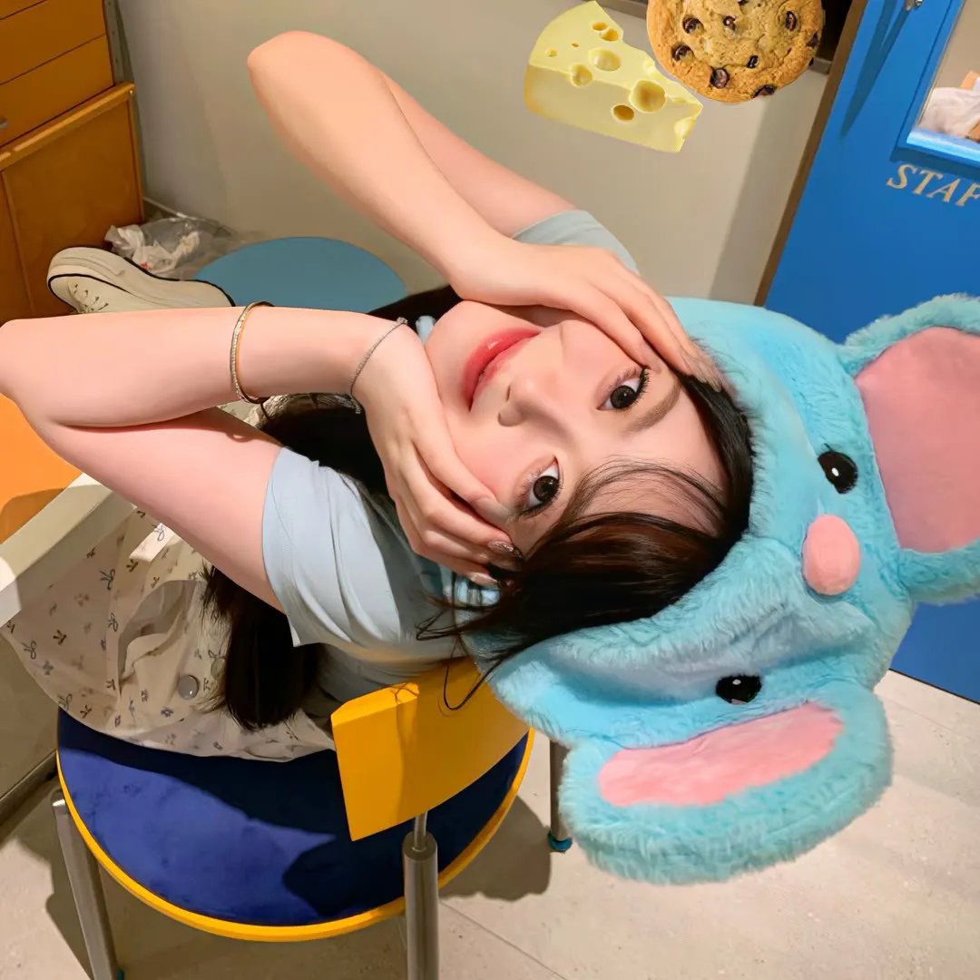 阿曼德封面